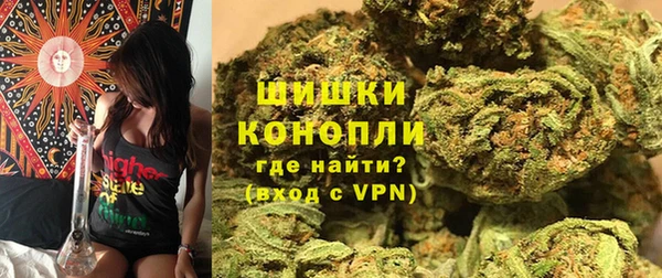 индика Белоозёрский