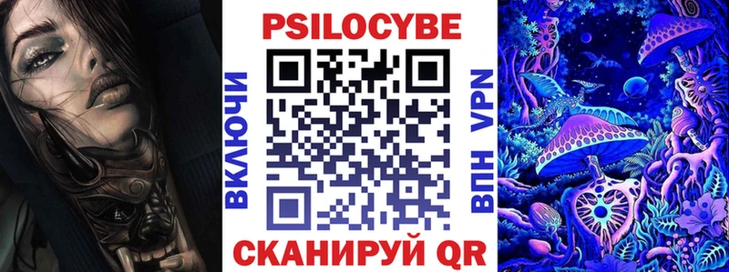 Галлюциногенные грибы Psilocybine cubensis  дарнет шоп  Богданович 